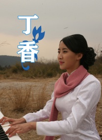 黄网在线免费